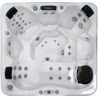 Avalon EC-849L hot tubs for sale in Tuscaloosa